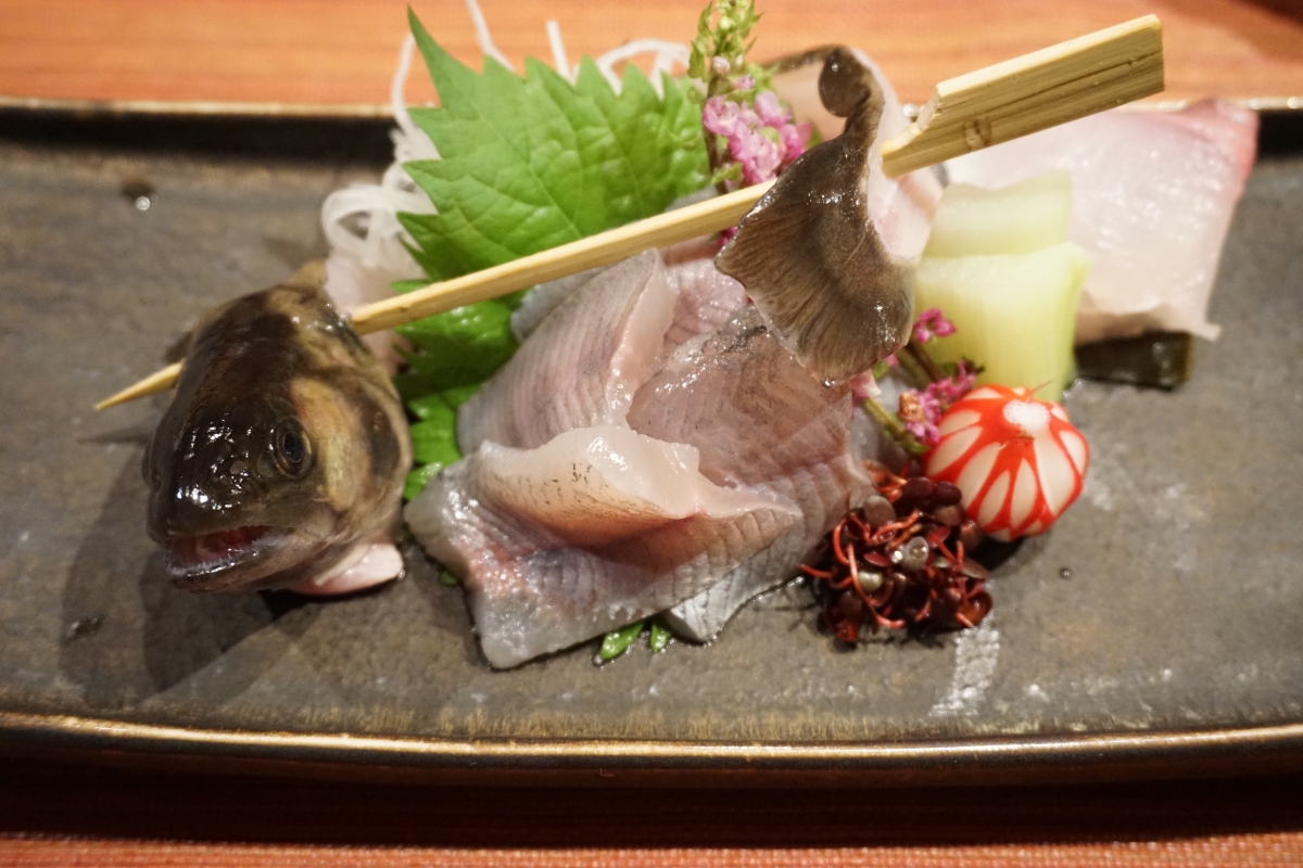 iwana sashimi