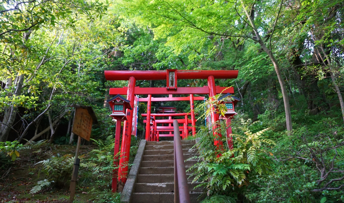 torii gates at jinya