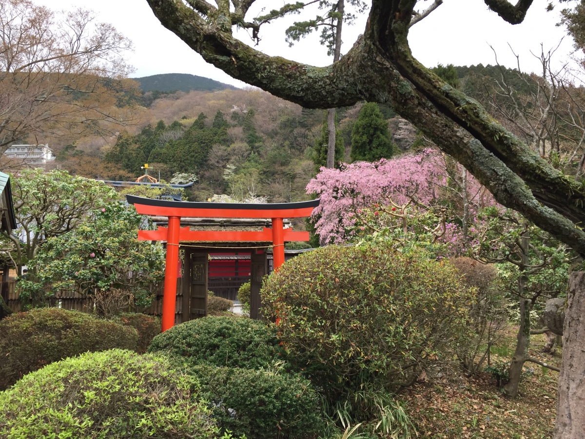 kihinkan torii