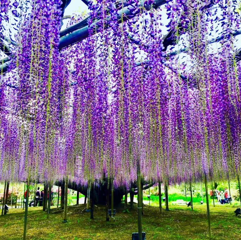 On The Road Archives japonica.info